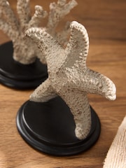 Conjunto de ornamentos de vida marinha 3 - Imagem 2 de 6