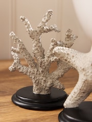 Conjunto de ornamentos de vida marinha 3 - Imagem 3 de 6