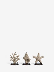 Conjunto de ornamentos de vida marinha 3 - Imagem 4 de 6