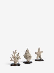 Conjunto de ornamentos de vida marinha 3 - Imagem 5 de 6