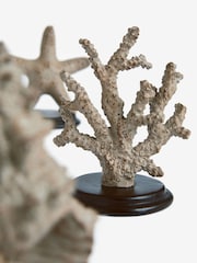 Conjunto de ornamentos de vida marinha 3 - Imagem 6 de 6