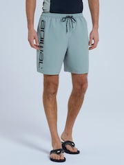Синий - Animal Mens Deep Dive Quick Drying Board Shorts - Image 2 of 9