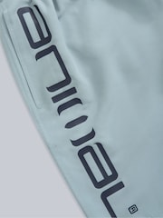 Синий - Animal Mens Deep Dive Quick Drying Board Shorts - Image 9 of 9