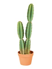 Premier Decorations Ltd Green 68cm Plastic Potted Cereus Garden Cactus - Image 1 of 1