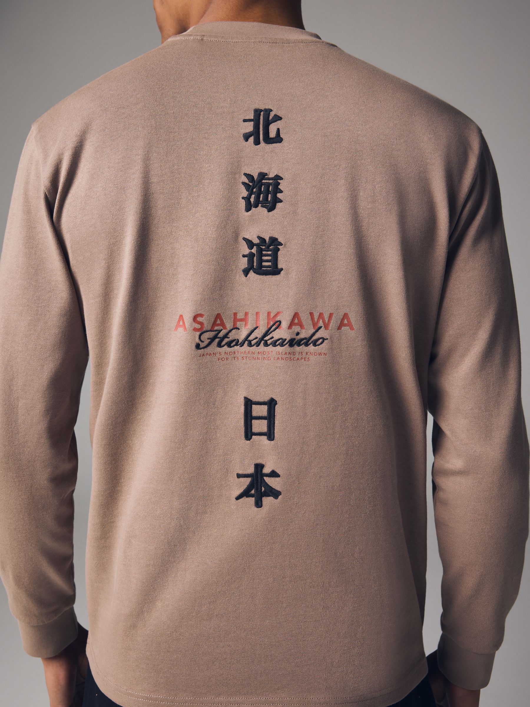 Buy Stone Relaxed Fit Long Sleeve Heavyweight Back Print Buy Stone Relaxed Fit Long Sleeve Heavyweight Back Print