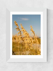 East End Prints White Hilton Head Island III Framed Art Print - Image 1 of 3