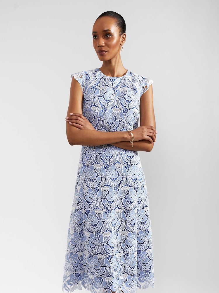 Hobbs Blue Petite Phoebe Dress - Image 1 of 4