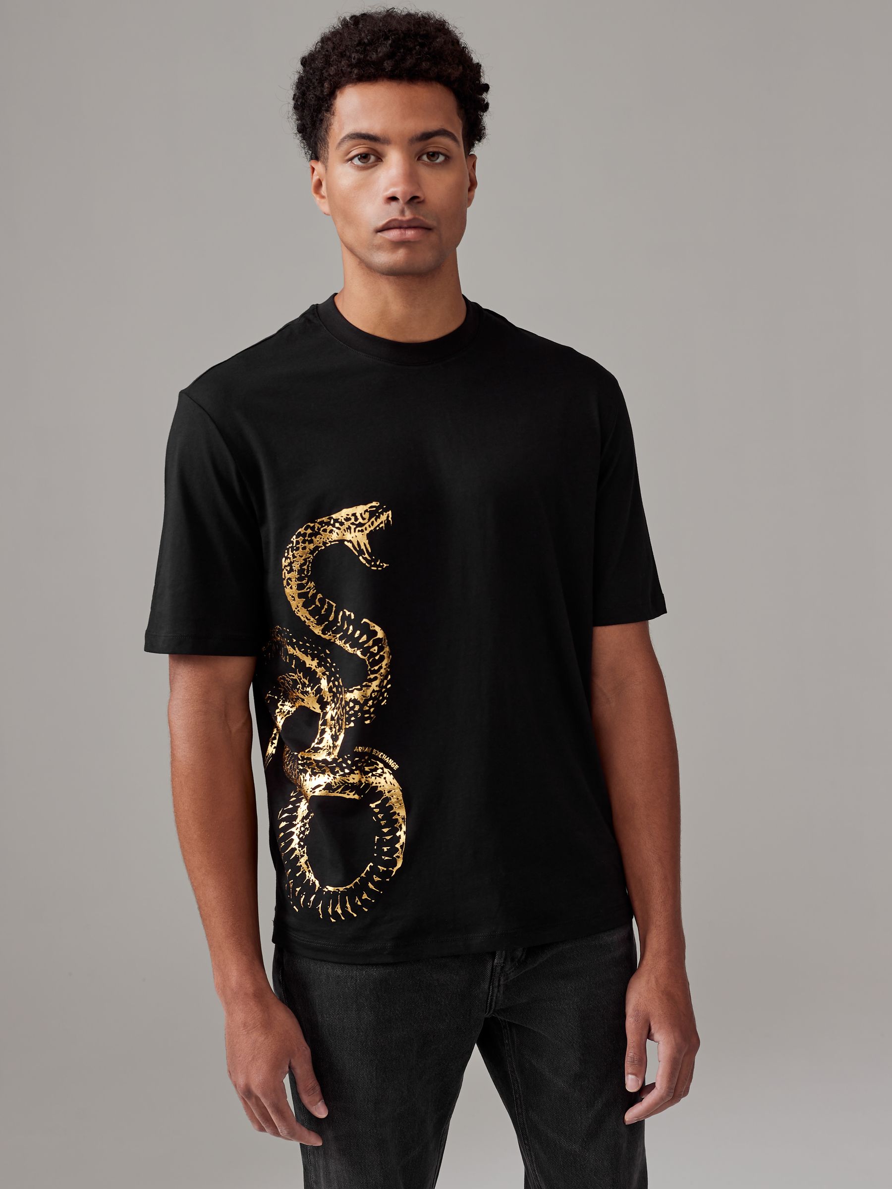 Buy Armani Exchange Snake Graphic Black 100% Cotton T-Shirt from Next  Luxembourg