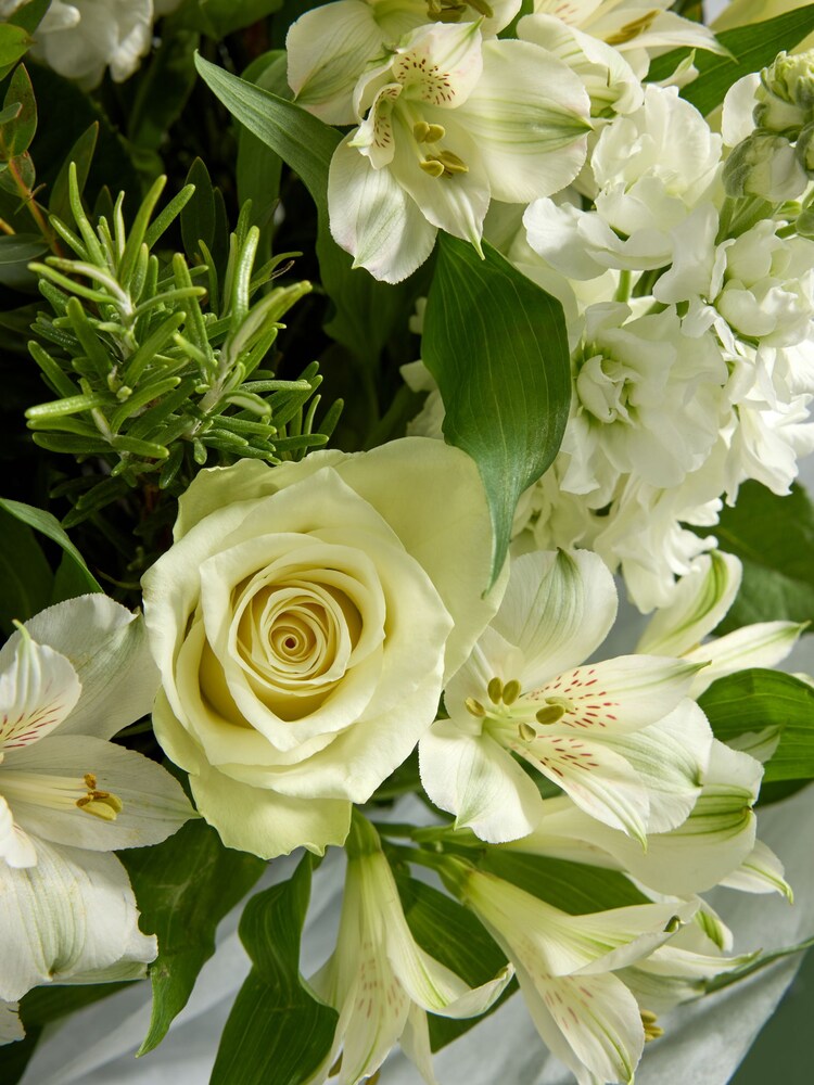 White Alstroemeria and Stocks Fresh Flower Bouquet in Gift Bag - Image 2 of 6