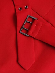 Ted Baker Red Gabyela Puff Sleeve Midi Dress With Belt - Image 3 of 5