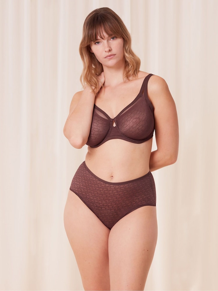 Triumph Signature Sheer Maxi Brown Briefs - Image 1 of 7