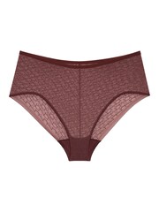Triumph Signature Sheer Maxi Brown Briefs - Image 7 of 7