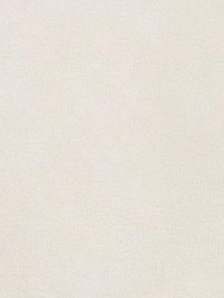 U.S. Polo Assn. Natural Mens Classic Fit Texture Terry Shorts - Image 8 of 8