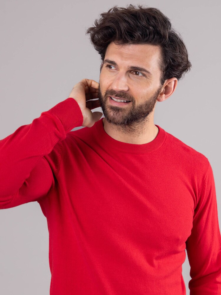 Lakeland Leather Red Clothing Wilson 100% Cotton Crew Neck Jumper - Image 6 of 6