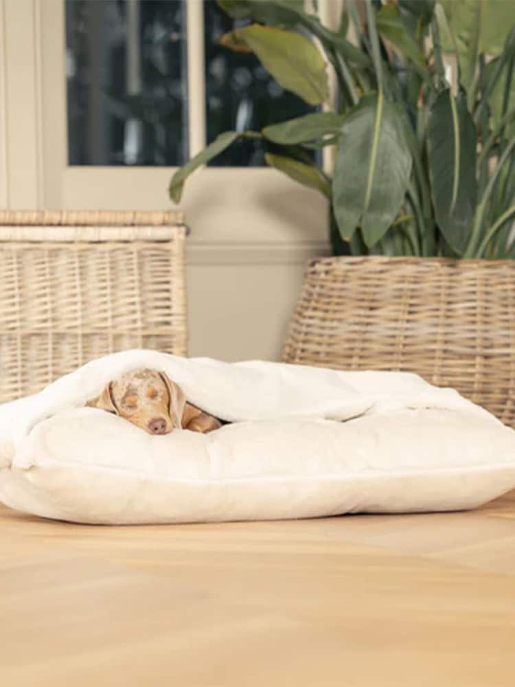 Lords and Labradors Cream Faux Fur Sleepy Burrow Dog Bed - Image 1 of 2