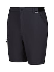 Regatta Grey Men's Travel Light Packaway Shorts - Image 7 of 8
