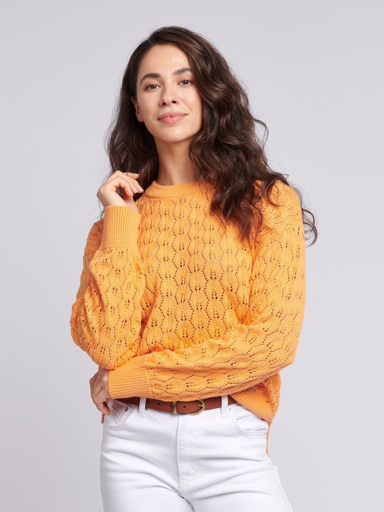 U.S. Polo Assn. Orange Regular Fit Womens Pointelle Knit Jumper - Image 1 of 7