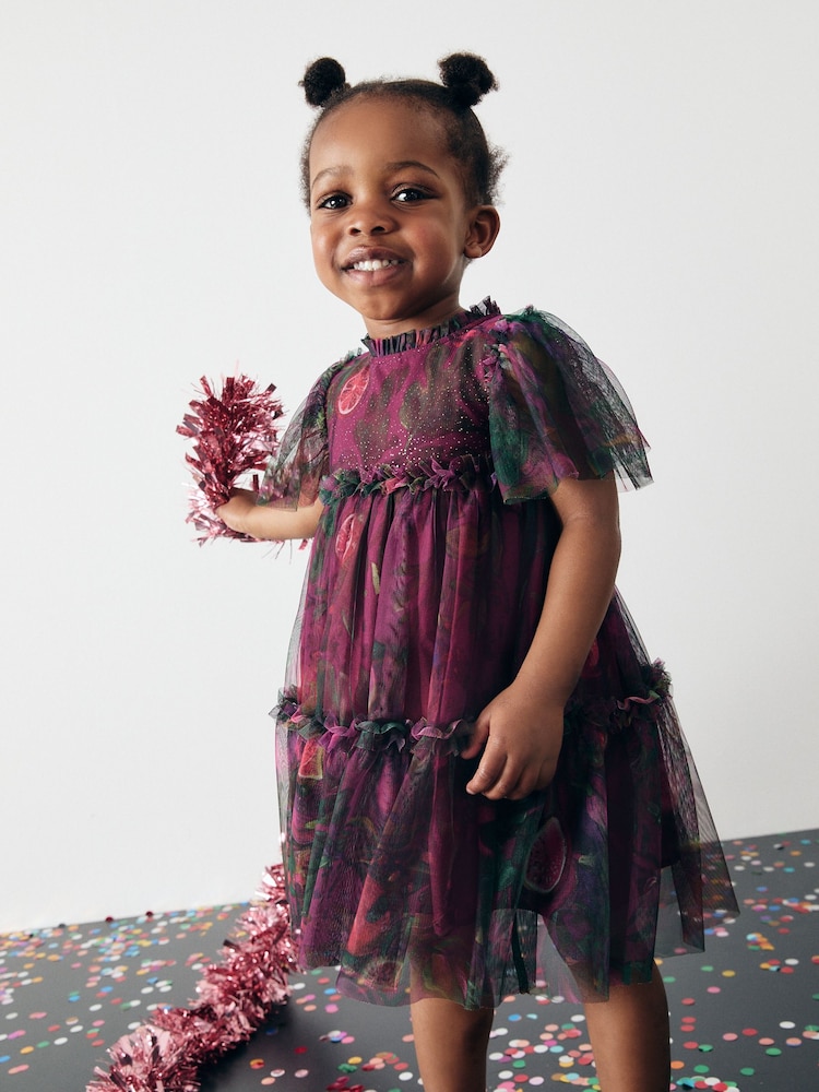 Plum Purple Printed Mesh Party Dress (3mths-7yrs) - Image 1 of 11