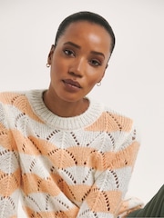 JD Williams Orange Stripe Crew Neck Jumper - Image 4 of 4