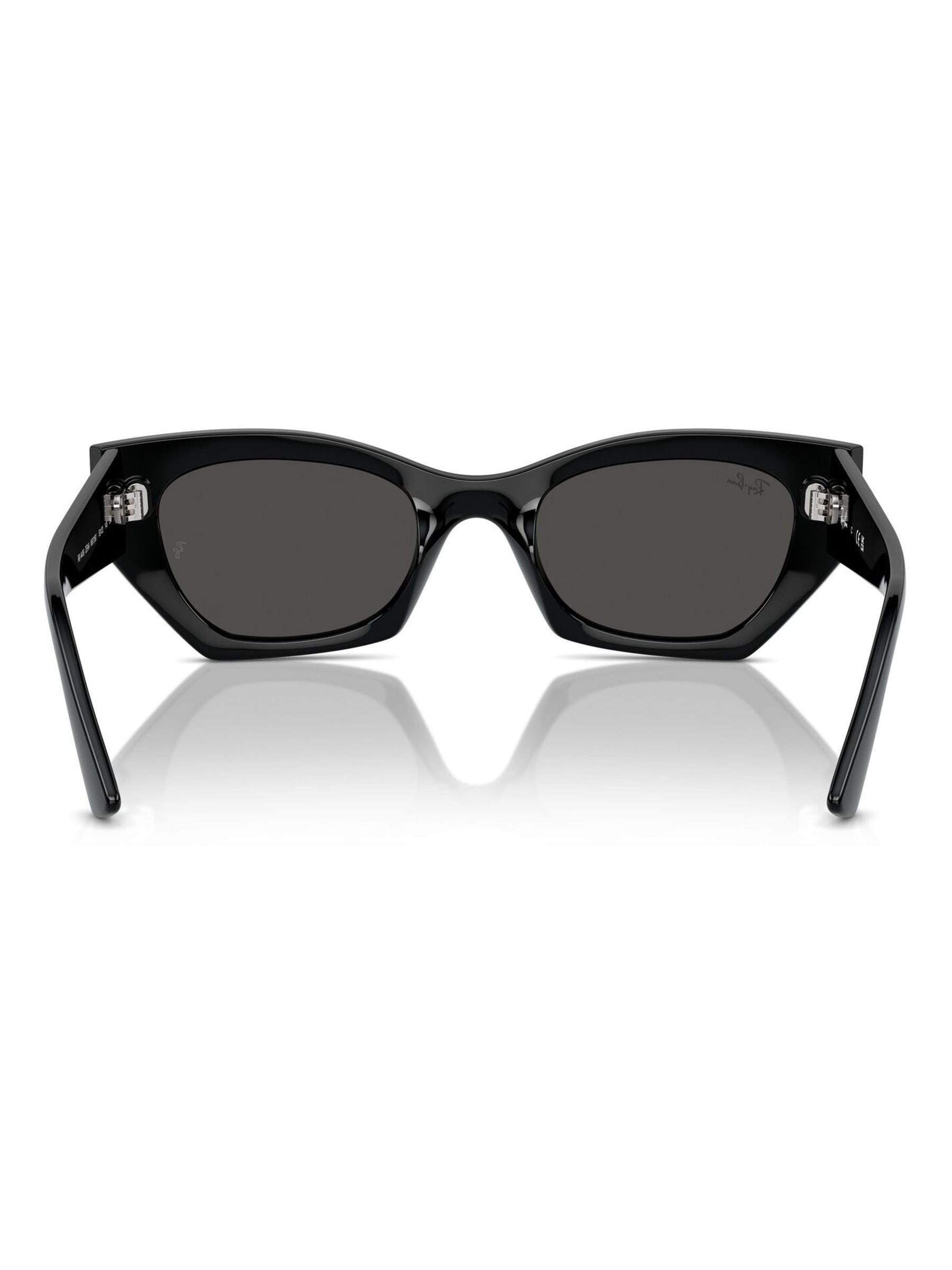 Buy Ray-Ban Black Zena RB4430 Irregular Sunglasses from the Next