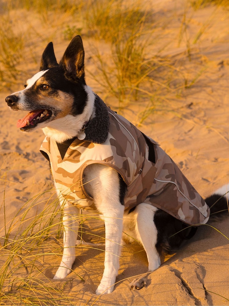 dryrobe Natural Dryrobe Dog Coat - Image 2 of 7 dryrobe Natural Dryrobe Dog Coat - Image 2 of 7