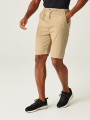 Regatta Natural Aldan Chino Shorts - Image 1 of 6