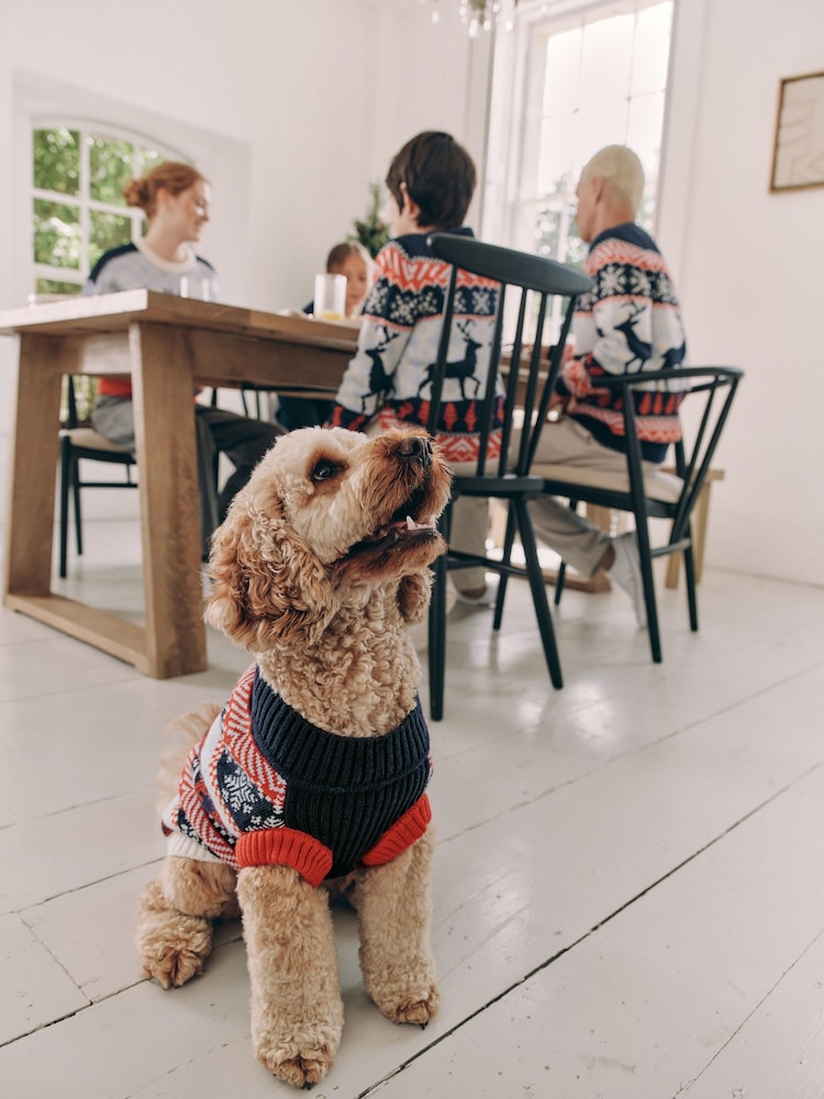 Navy Blue Fairisle Pattern Christmas Dog Jumper - Image 2 of 11 Navy Blue Fairisle Pattern Christmas Dog Jumper - Image 2 of 11