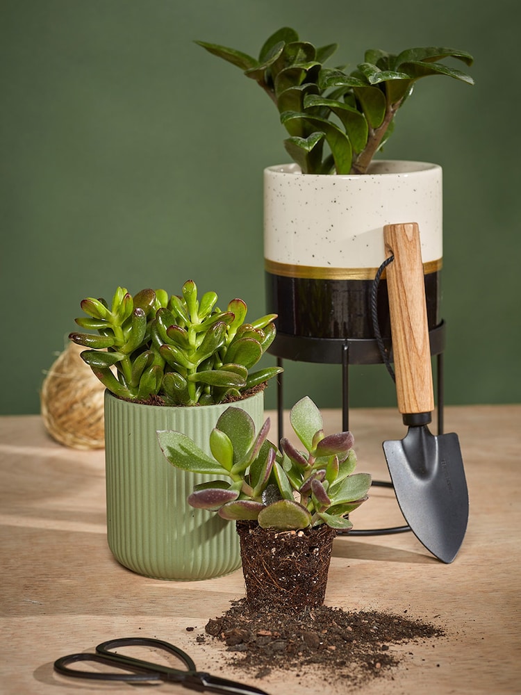 Portico Designs Black The Urban Gardener Mini Trowel and Indoor Plant Scissors - Image 3 of 3 Portico Designs Black The Urban Gardener Mini Trowel and Indoor Plant Scissors - Image 3 of 3