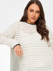 Yours Curve Cream Tipped Edge Crochet Jumper - Image 4 of 5