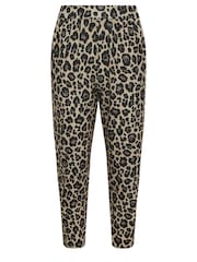 PixieGirl Petite Animal Leopard Print Harem Trousers - Image 5 of 5