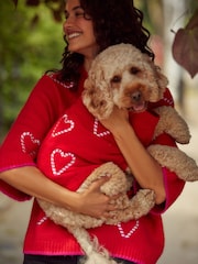 Red Candy Cane Heart Christmas Dog Jumper - Image 1 of 8