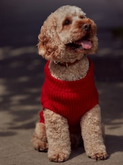 Red Candy Cane Heart Christmas Dog Jumper - Image 3 of 8