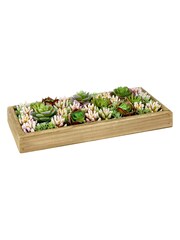 Premier Decorations Ltd Green Artificial Mix Garden Succulent - Image 2 of 3