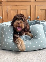 Lords and Labradors Duck Egg Spot 100% Cotton High Sided Dog Bed - Image 1 of 5