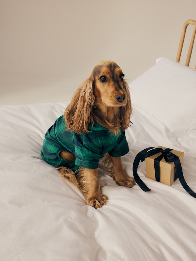 Green/Navy Check Matching Family Pet 100% Cotton Pyjamas - Image 1 of 8