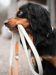 Lords and Labradors Linen Essentials Twill Dog Lead - Image 1 of 6