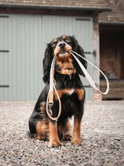 Lords and Labradors Linen Essentials Twill Dog Lead - Image 2 of 6
