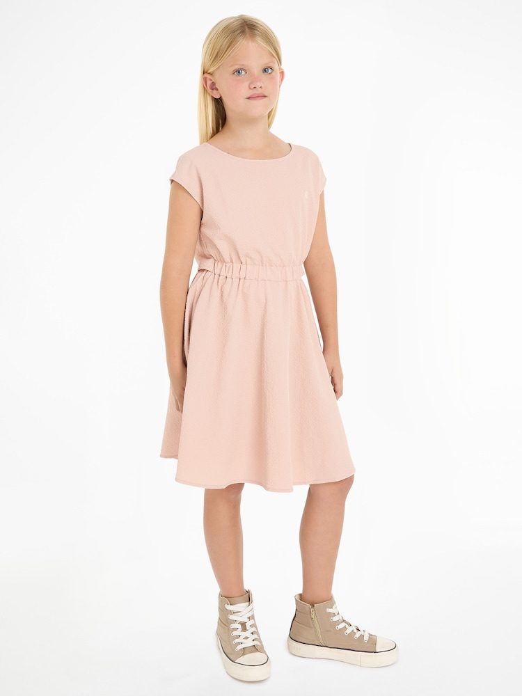 Calvin Klein Pink Fit And Flare Seersucke Dress - Image 1 of 6