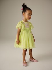 Green Embroidered Mesh Party Dress (3mths-7yrs) - Image 1 of 8
