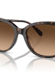 COACH HC8378U Sunglasses - Bild 6 von 6
