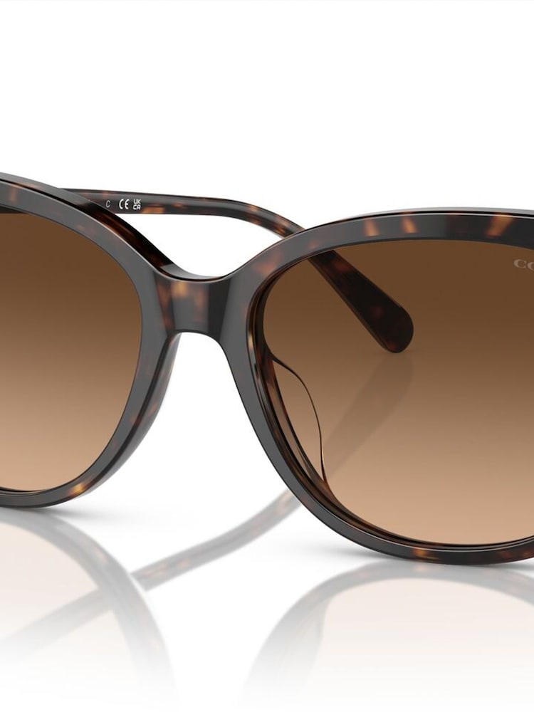 COACH HC8378U Sunglasses - Bild 6 von 6