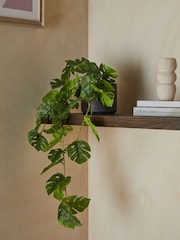 Green Artificial Trailing Monstera Plant - Image 1 of 3