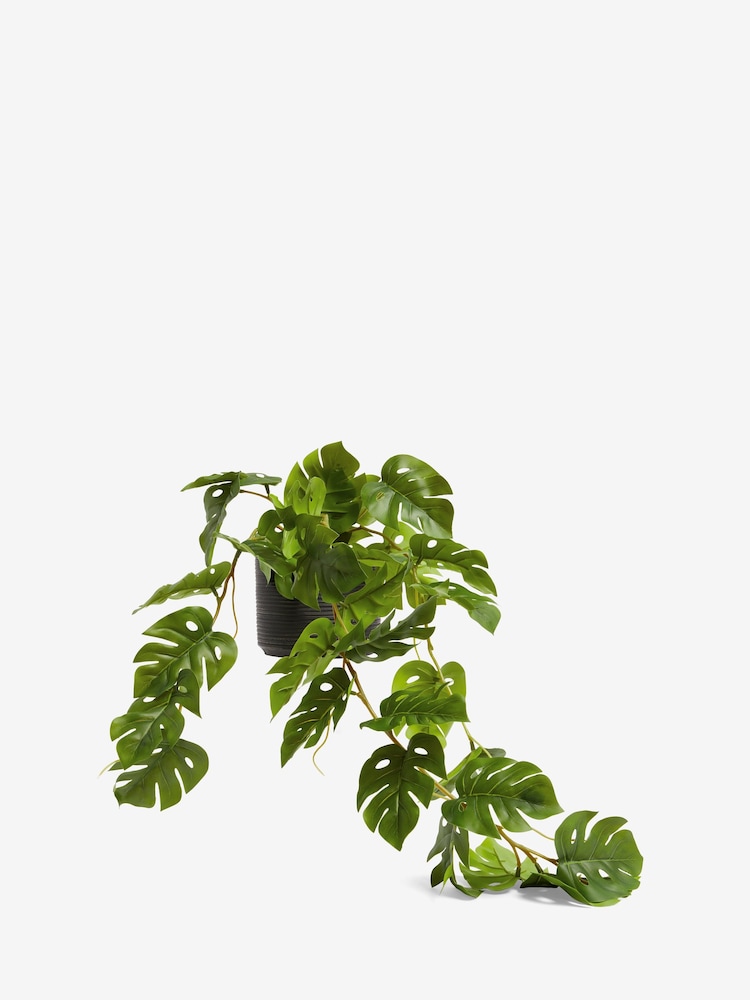 Green Artificial Trailing Monstera Plant - Image 3 of 3