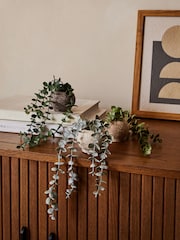 Set of 3 Green Artificial Trailing Plants - Image 1 of 4
