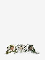 Set of 3 Green Artificial Trailing Plants - Image 4 of 4