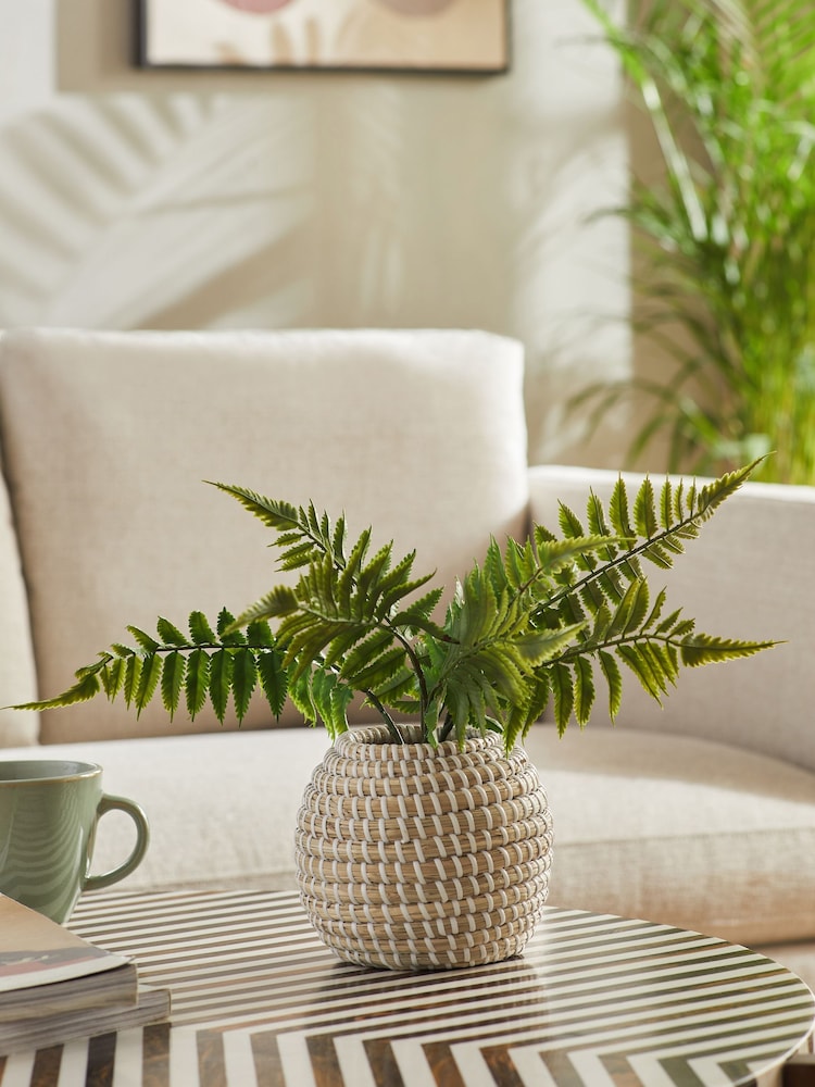 Green Artificial Fern in Woven Pot - Image 1 of 5
