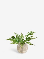 Green Artificial Fern in Woven Pot - Image 4 of 5