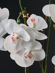 Gold/White Artificial Real Touch Orchid in Geo Pot - Image 2 of 4