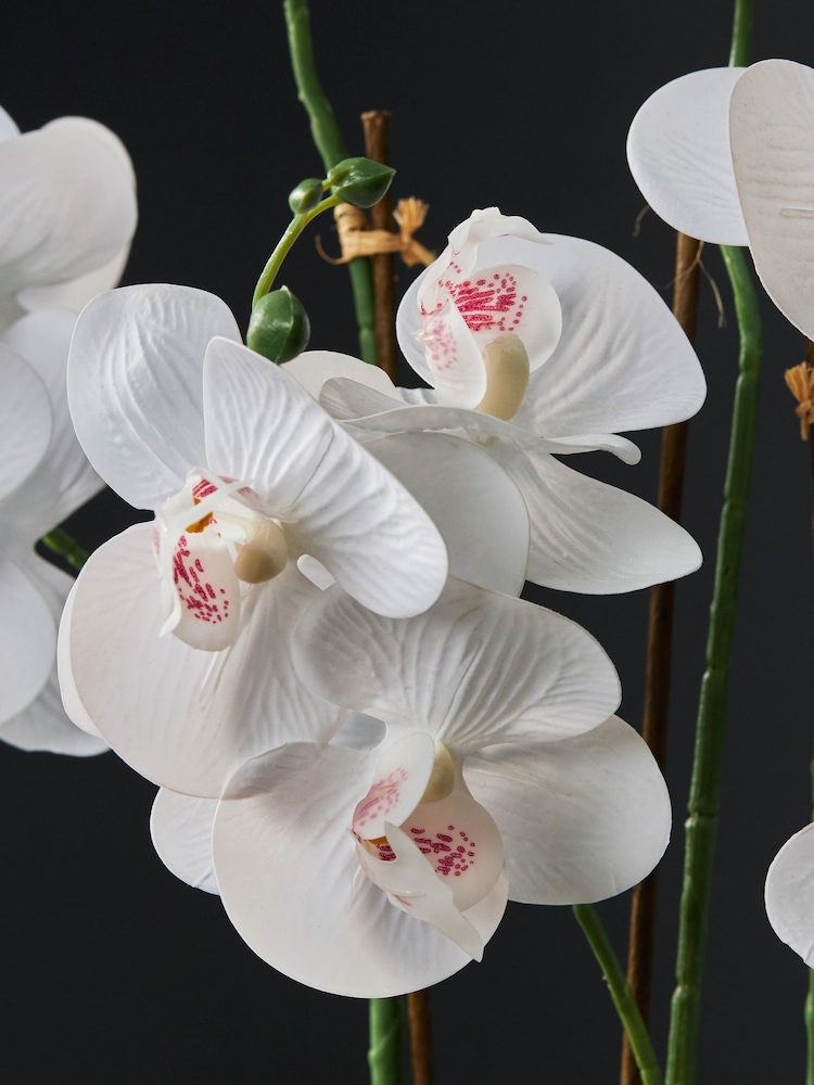 Gold/White Artificial Real Touch Orchid in Geo Pot - Image 2 of 4