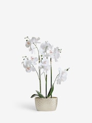 Gold/White Artificial Real Touch Orchid in Geo Pot - Image 3 of 4